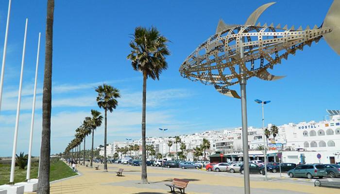 Encanto I solo familias y parejas en zona centro Conil De La Frontera Exterior foto